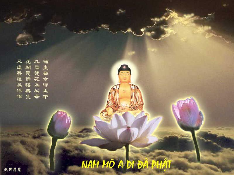 Hình Ảnh Phật A Di Đà Đẹp Nhất, Trang Nghiêm, Sắc Nét