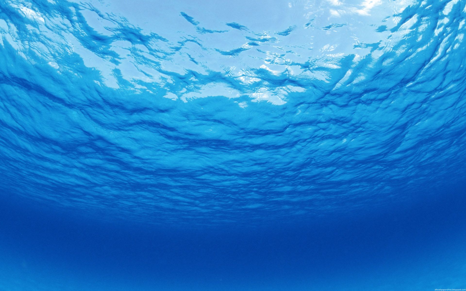 Tại sao nước biển lại mặn  ĐỊA LÝ VÀ CUỘC SỐNG