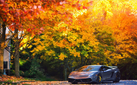 hình nền siêu xe Lamborghini Gallardo cực đẹp