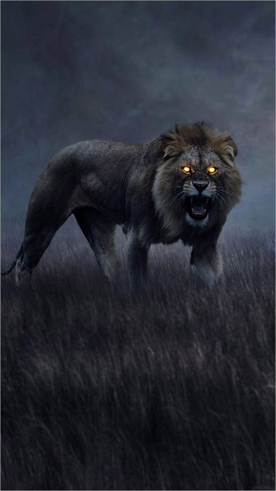 Hình nền sư tử đẹp nhất, oai vệ, dũng mãnh