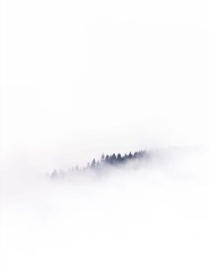 nền background trắng của sương mù trên núi
