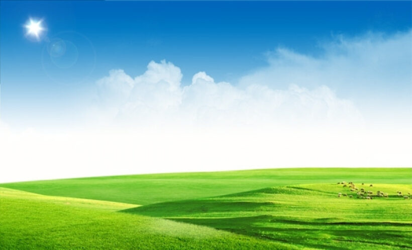 background mây và đồng cỏ xanh