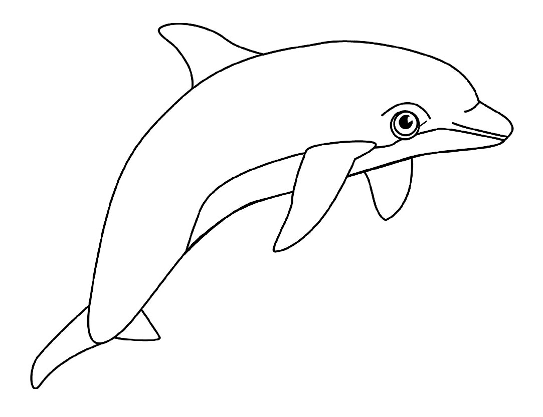 Xem hơn 100 ảnh về con cá heo hình vẽ  NEC