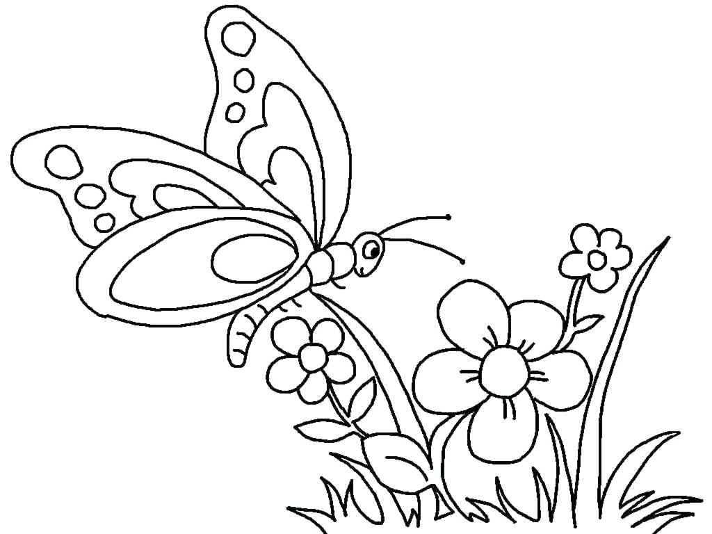 Cách vẽ con bướm  Dạy Vẽ
