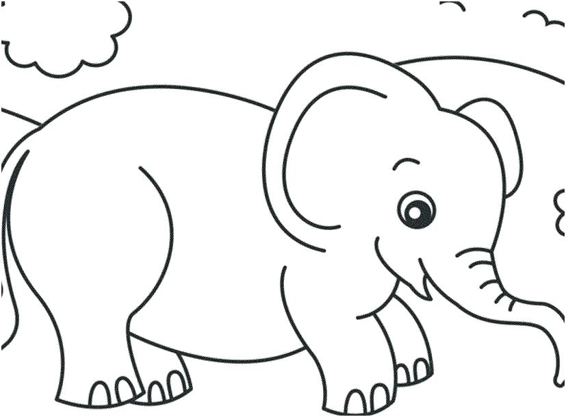 Cập nhật 61 về hình ảnh con voi tô màu hay nhất  cdgdbentreeduvn