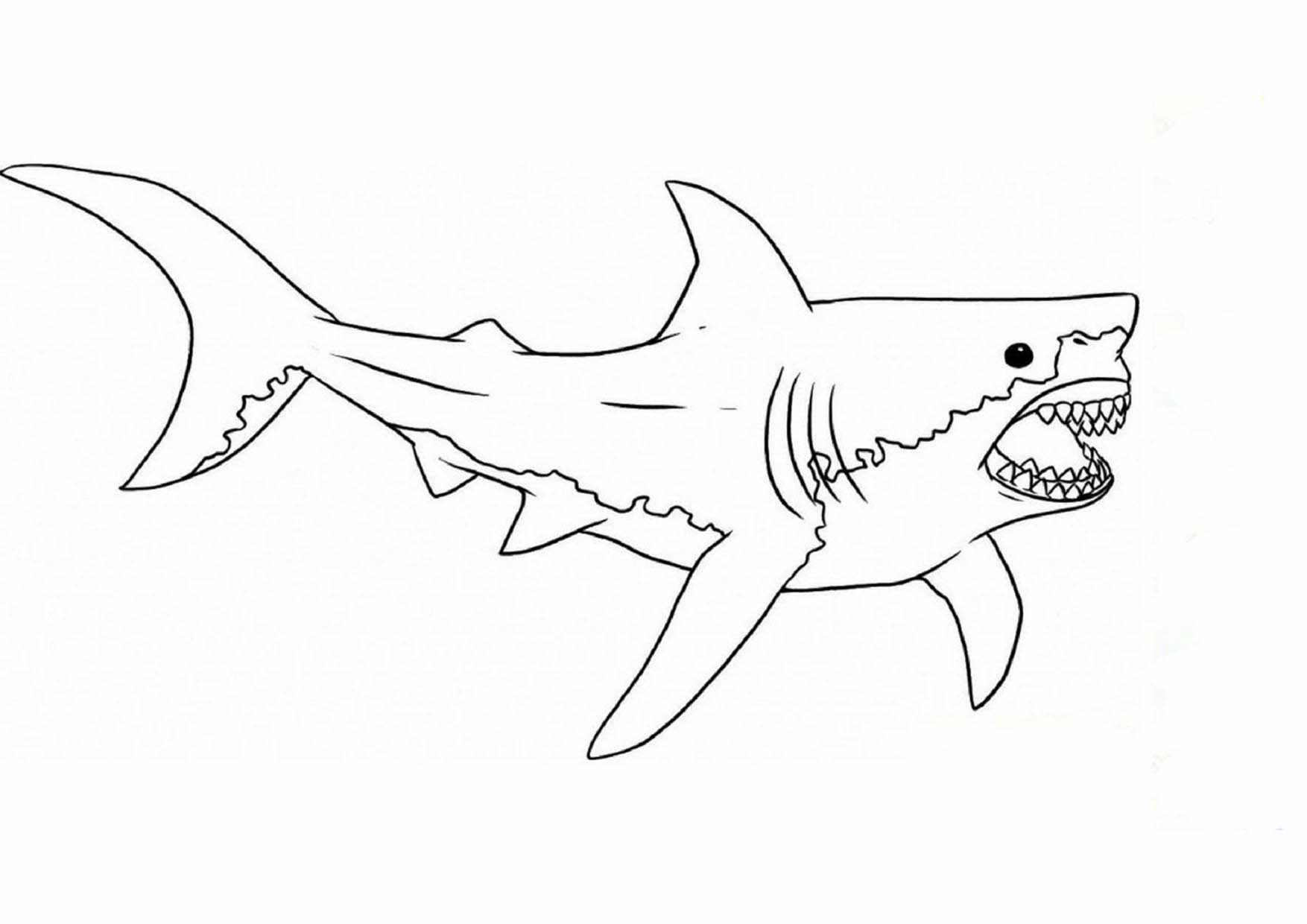 Chia Sẻ 63+ Về Tranh Tô Màu Con Cá Mập Hay Nhất - Cdgdbentre.Edu.Vn
