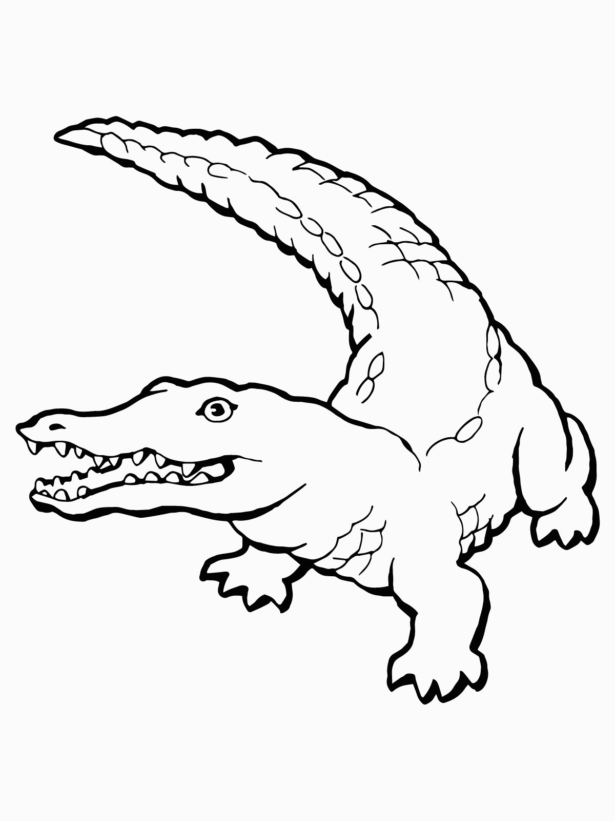 Con cá sấu con cá Sấu Clip nghệ thuật Vẽ hình Ảnh  cá sấu png tải về   Miễn phí trong suốt Loài Bò Sát png Tải về