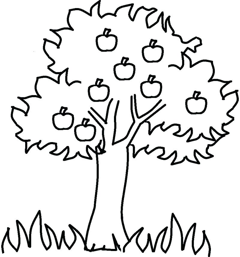 11 bức tranh cây cối cho bé tập tô màu phát triển tư duy sáng tạo