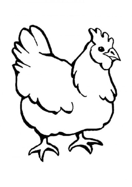 Tranh vẽ đen trắng con gà đẹp cho bé tô màu (6)