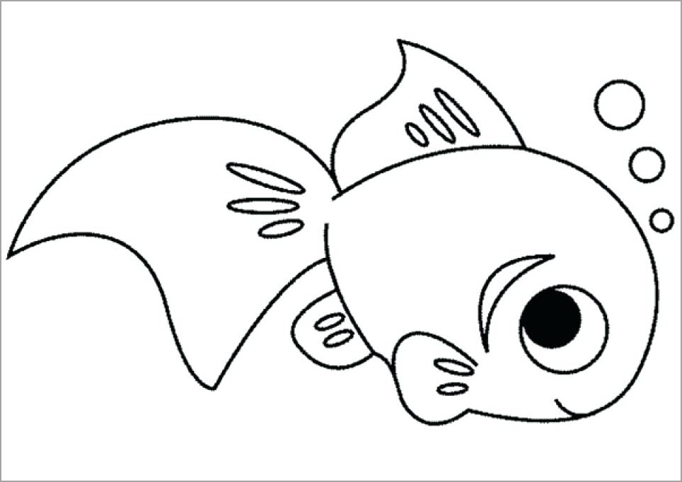 Tranh tô màu các loài cá đẹp đơn giản đến nâng cao cho bé tập tô  Xetreem