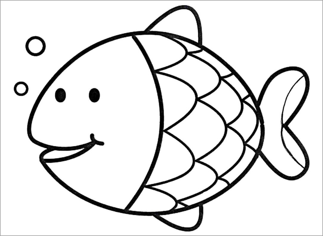 Hình Vẽ Cá Chép Cách Vẽ Cá Chép Đơn Giản Dễ Vẽ