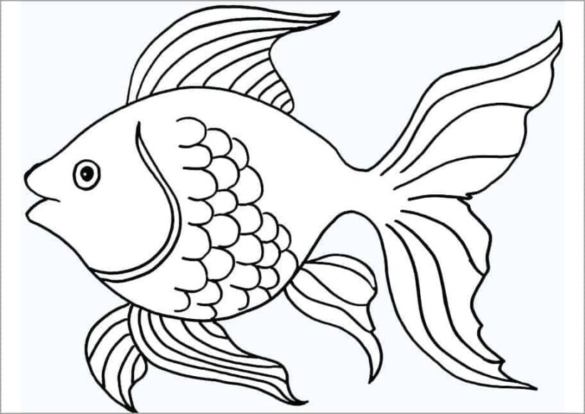 Tranh tô màu con cá cho bé  Bộ sưu tập tranh tô màu cực đẹp cho trẻ