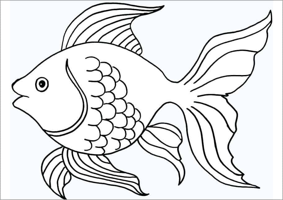 Cách vẽ con cá đẹp Đủ 101 hình vẽ cá biến hoá đủ hình dáng màu sắc   TRẦN HƯNG ĐẠO