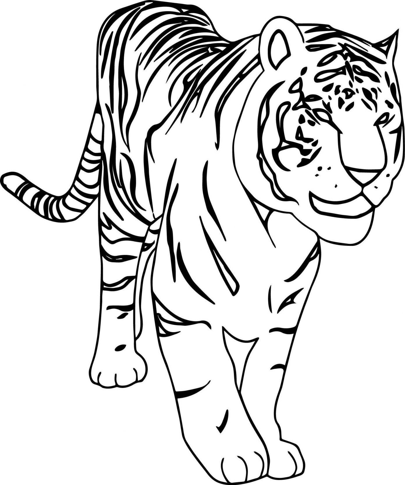 How to draw a simple and beautiful tiger  The most beautiful simple tiger  drawing  YouTube