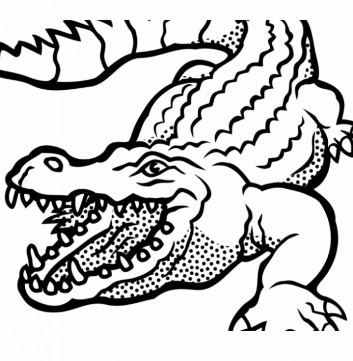 Trả lời mq204rr vẽ chú cá sấu bằng cái kẹp ve crocodile art drawi   TikTok