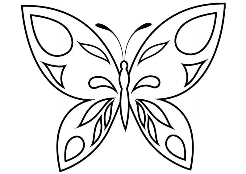 Con bướm  Tranh tô màu  Lê Khôi Nguyên  Website của Lê Khôi Nguyên