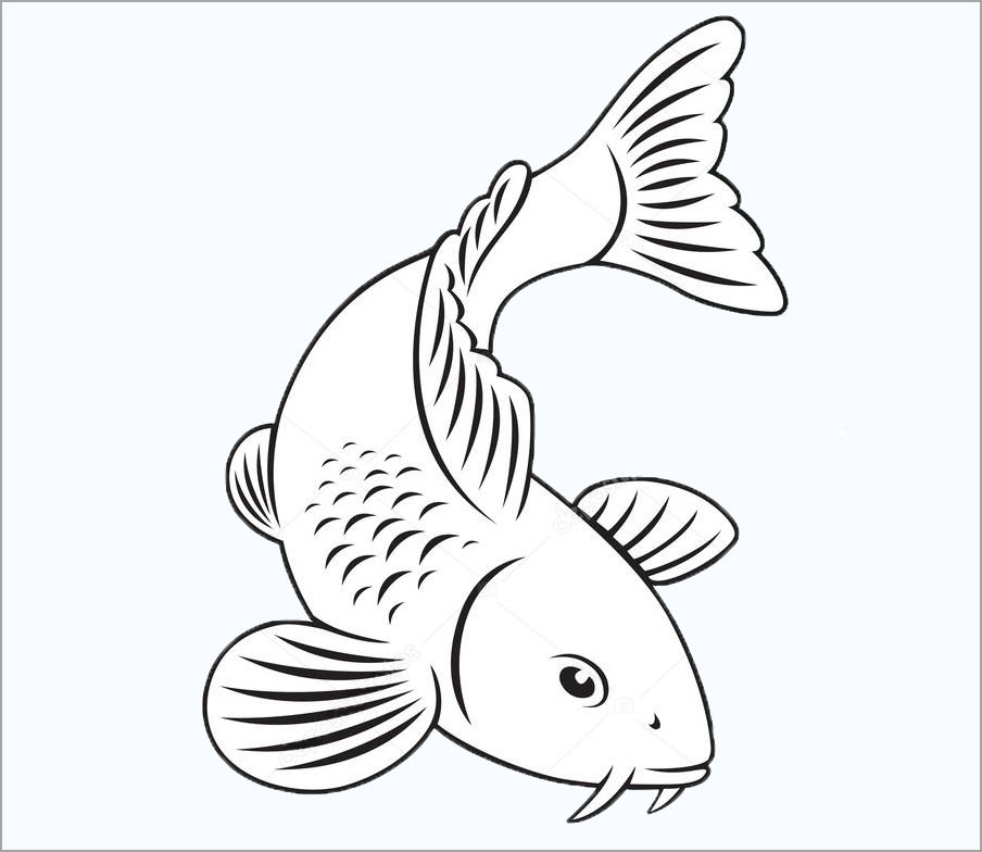 Hướng dẫn vẽ con cá bằng bút chì dễ dàng và nhanh chóng