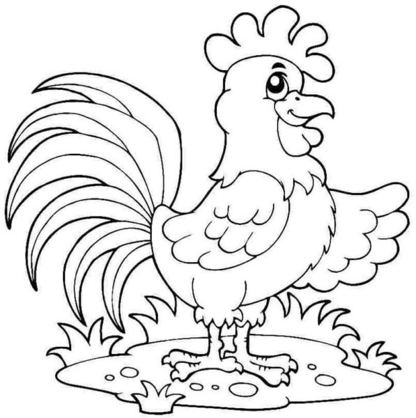 5 best images of free printable rooster coloring pages printable