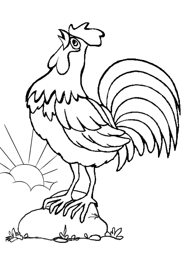 Top với hơn 56 về hình vẽ gà mới nhất  cdgdbentreeduvn