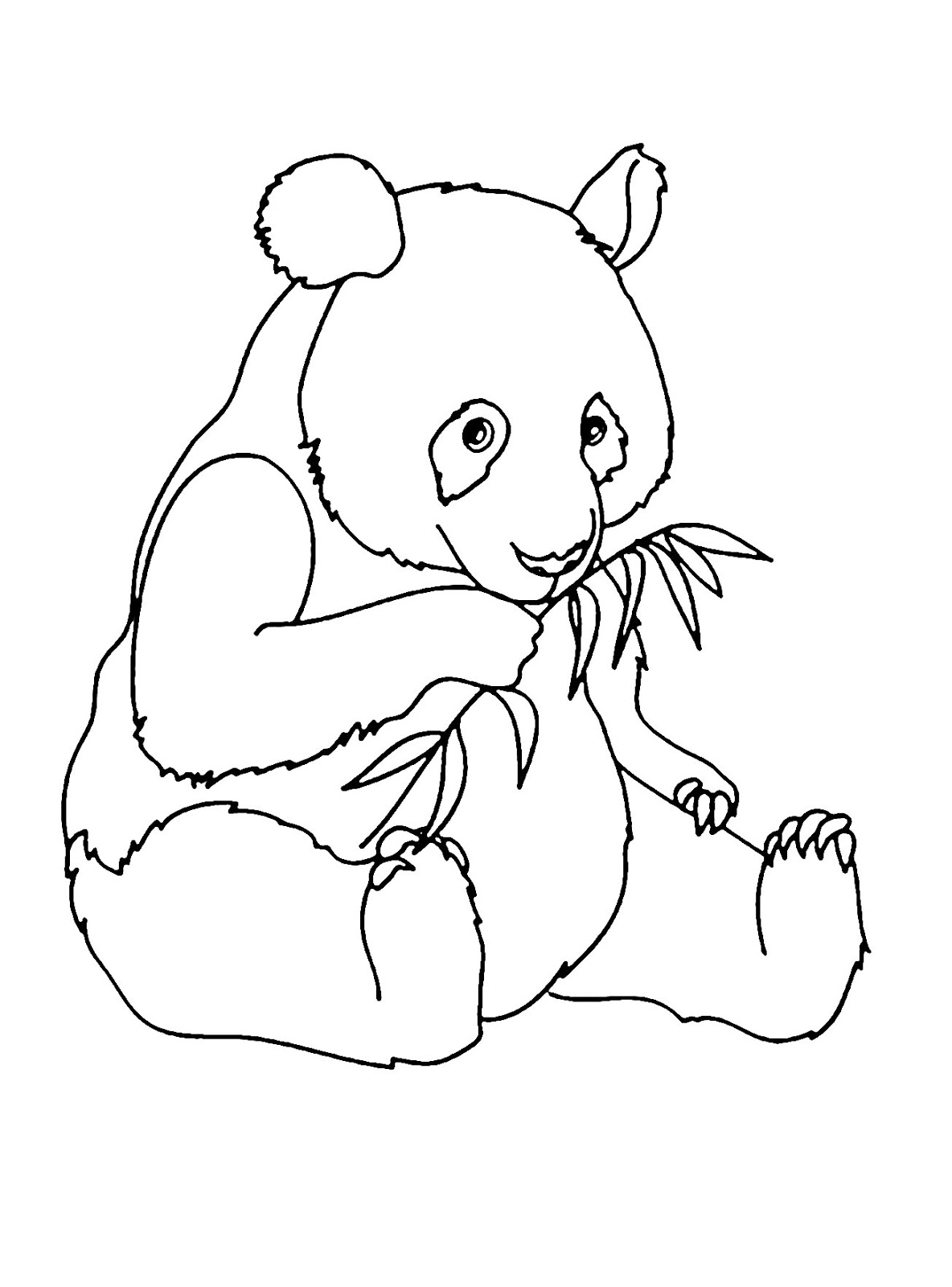 38+ Tranh tô màu con gấu dễ thương cho bé tập tô