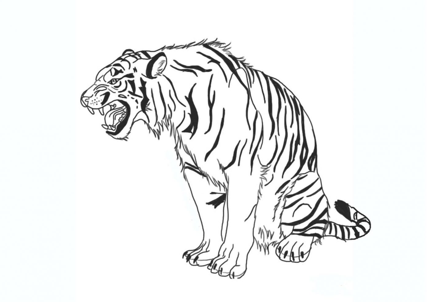 Xem hơn 100 ảnh về hình vẽ hổ bằng bút chì  daotaonec