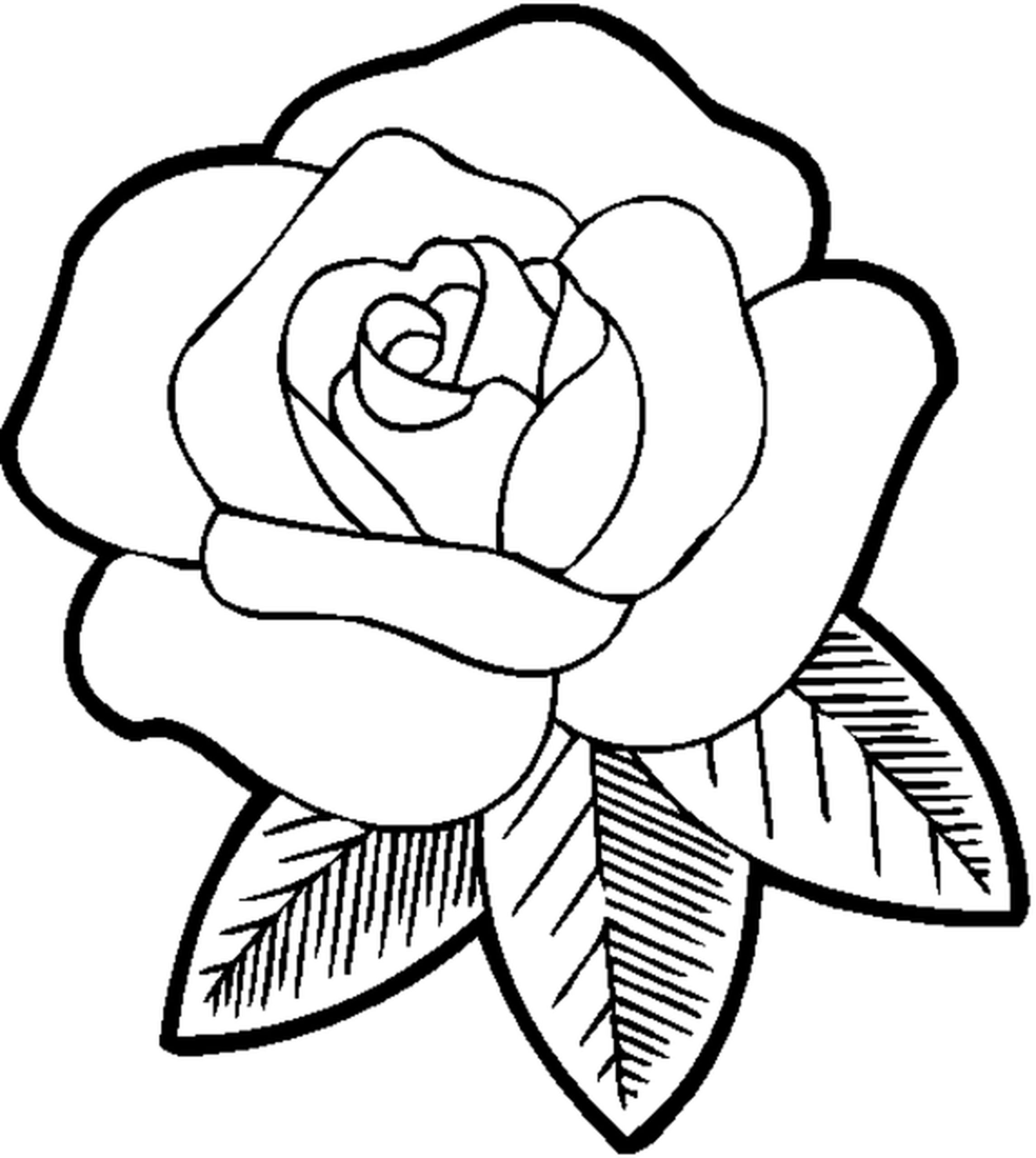 Hình ảnh Ban đầu Vẽ Hoa Tulip Nhỏ Màu Hồng Tươi PNG  Clipart Hoa Tulip  Nguyên Vẽ Tay PNG miễn phí tải tập tin PSDComment và Vector