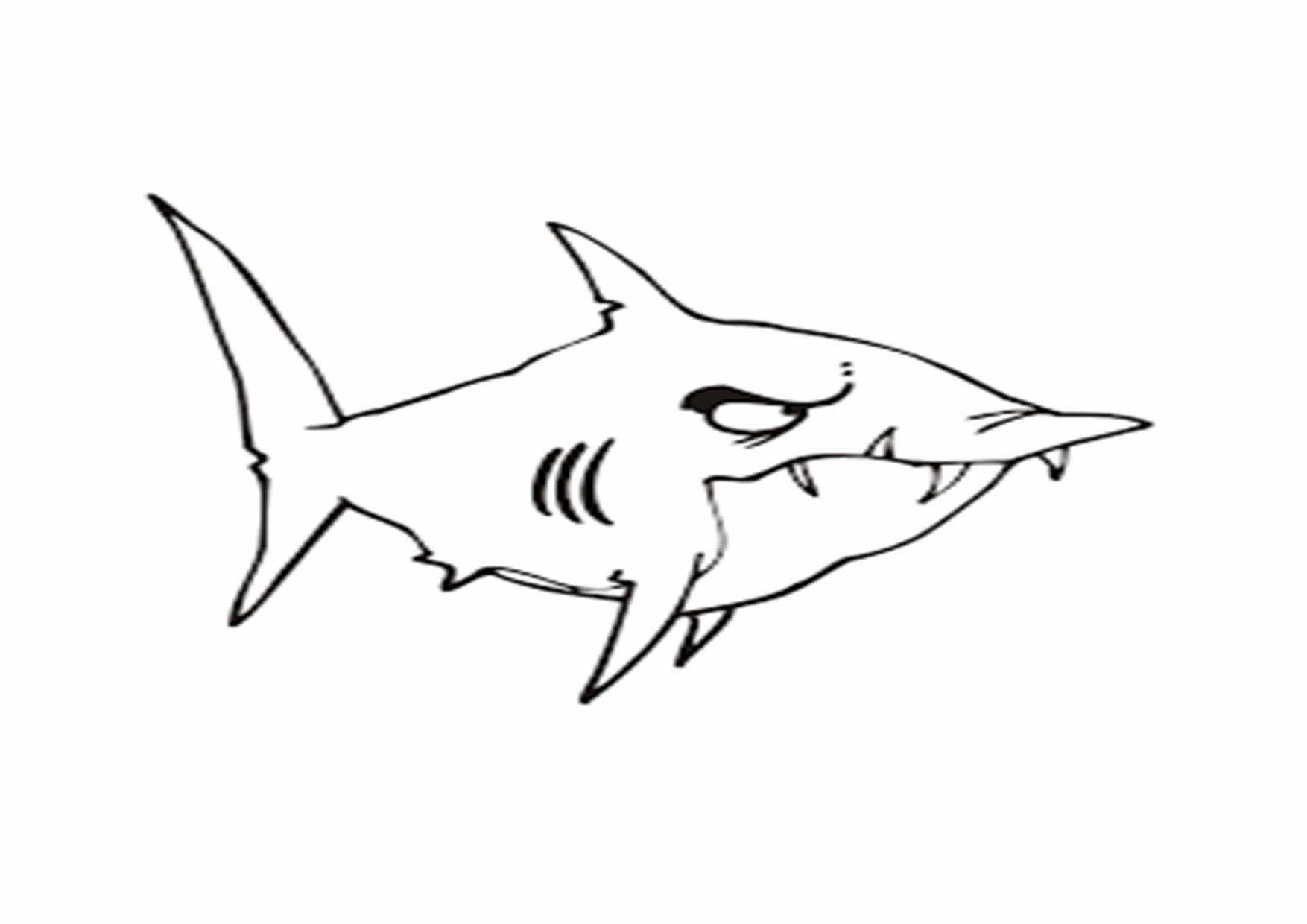 Chia sẻ 63 về giành giật tô color loài cá mập hoặc nhất  cdgdbentreeduvn