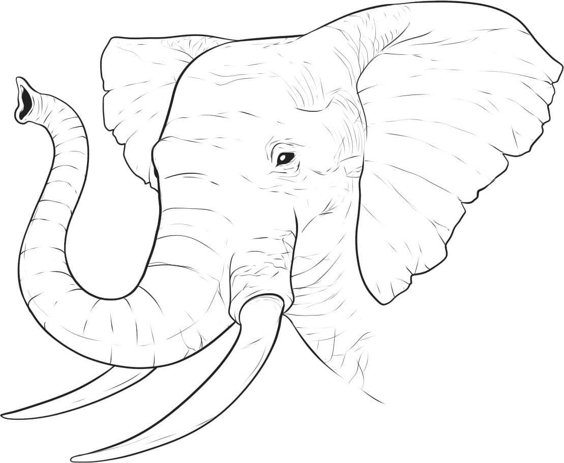 99 Bức tranh tô màu con voi ngộ nghĩn và đáng yêu  Đề án 2020  Tổng hợp  chia sẻ hình ảnh tranh vẽ biểu mẫu trong lĩnh vực giáo dục