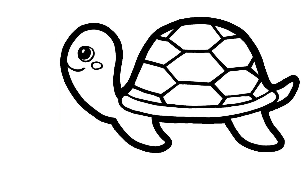 Vẽ con vật  vẽ con rùa biển  How to draw a sea turtle  Kim Thành Cần  Giờ  YouTube