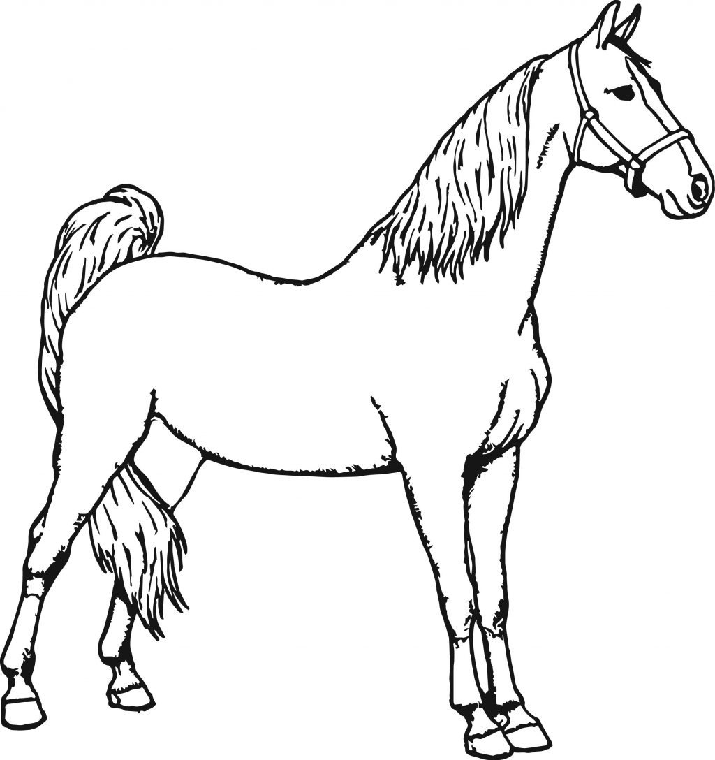 101 hình con ngựa dễ thương cute nhất chất lượng cao tải miễn phí
