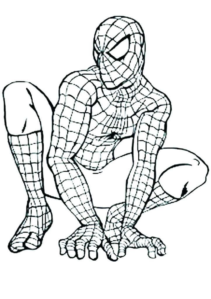 Giảm giá 10 tranh tô màu siêu nhân người nhện khổ giấy A4  BeeCost