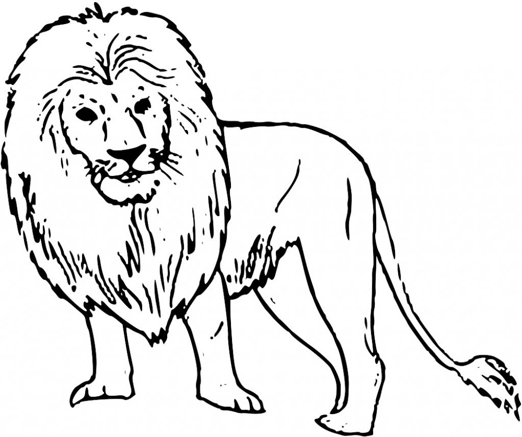 891 tranh tô màu sư tử mạnh mẽ đáng yêu cho bé 99 tranh tô màu sư tử  cực đẹp và oai hùng