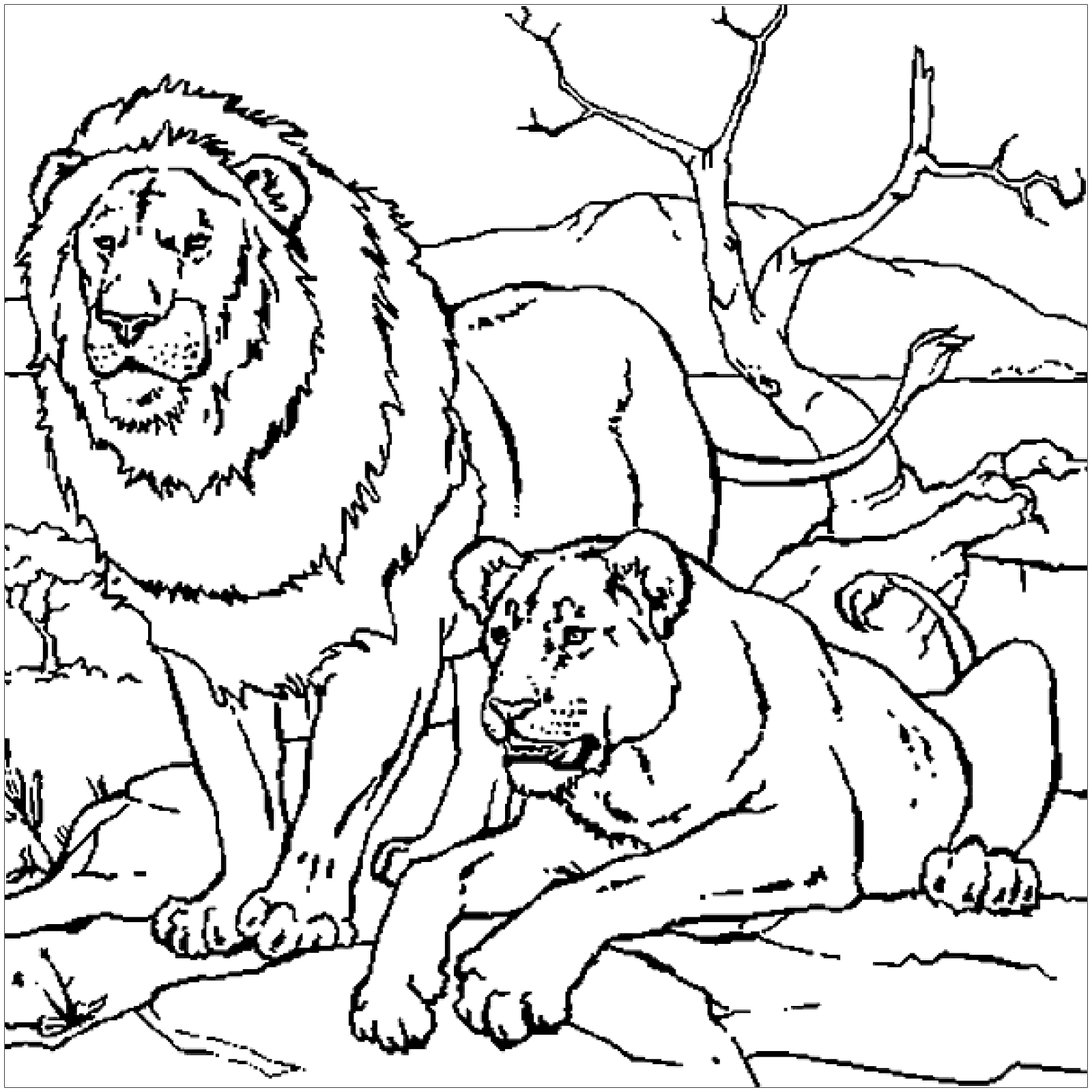 Chi tiết hơn 59 về sư tử tô màu  cdgdbentreeduvn