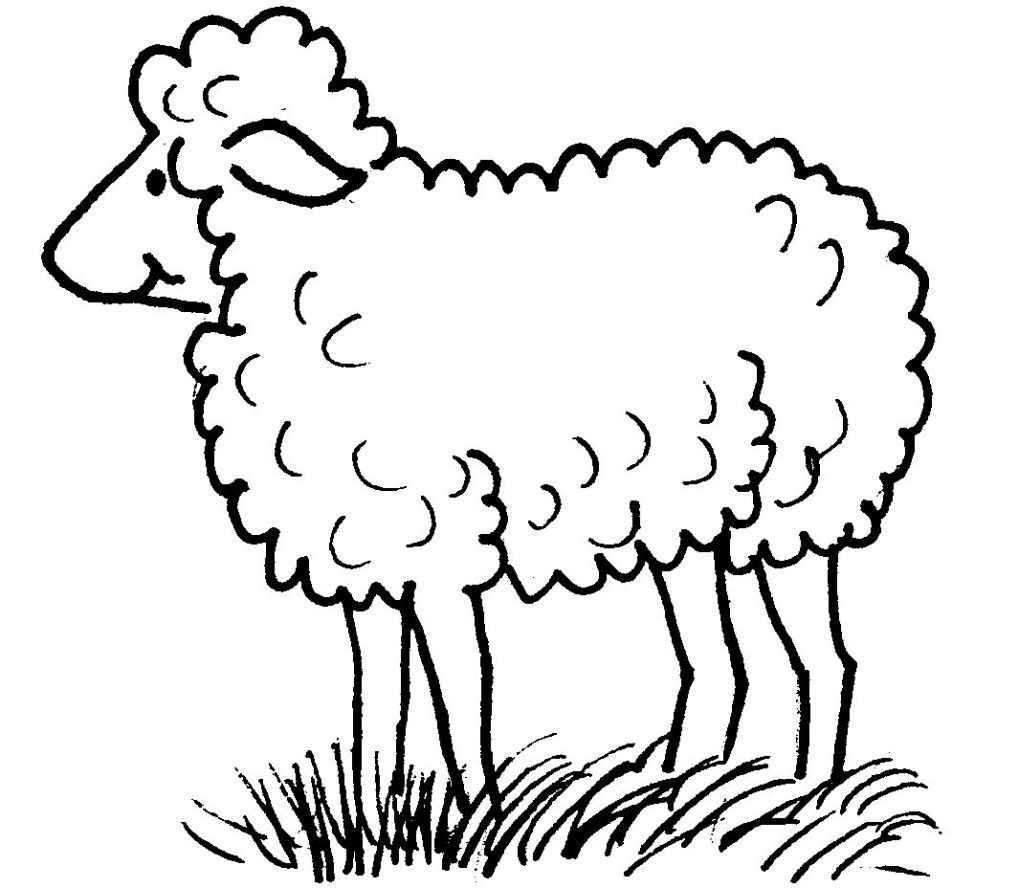 Top 52+ Về Con Cừu Tô Màu Hay Nhất - Du Học Akina