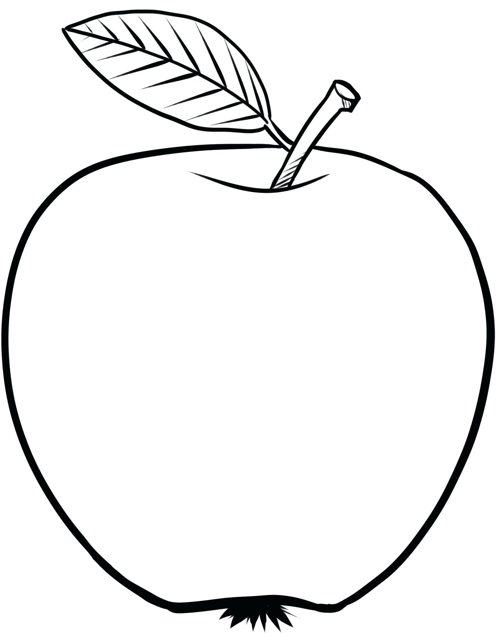 Vẽ quả táo sống động như thật  VnExpress