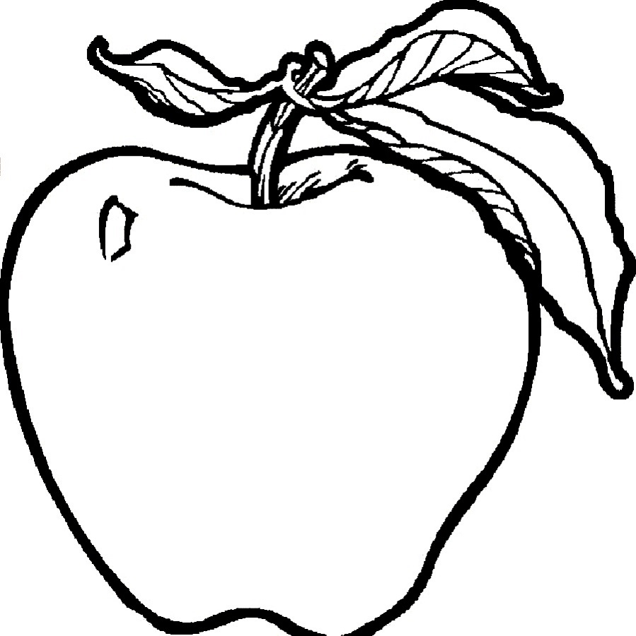 Chia sẻ 64 về hình quả táo tô màu hay nhất  cdgdbentreeduvn