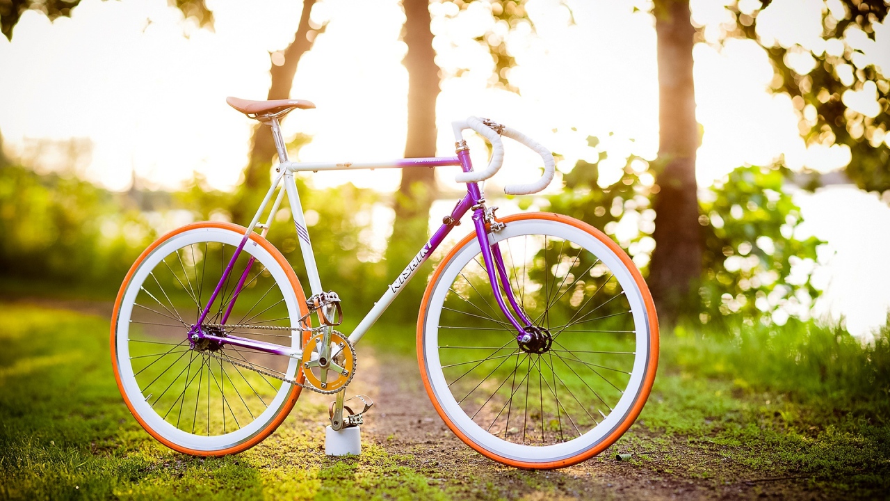 Những chiếc xe đạp đẹp rực rỡ đã sẵn sàng để bạn khám phá! Họa tiết cực kỳ ngộ nghĩnh và dễ thương được sử dụng trên mỗi chiếc xe sẽ khiến bạn cảm thấy thích thú. Click ngay để chiêm ngưỡng vẻ đẹp của những chiếc xe đạp này!