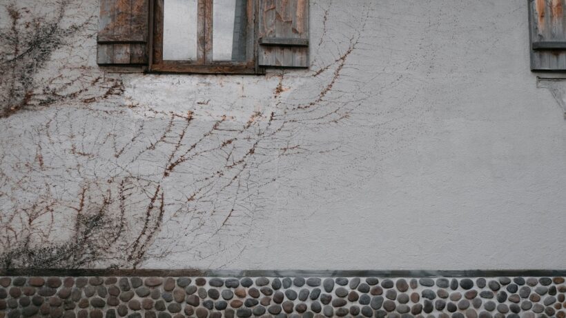 hình nền màu xám bức tường rêu phong cũ kỹ
