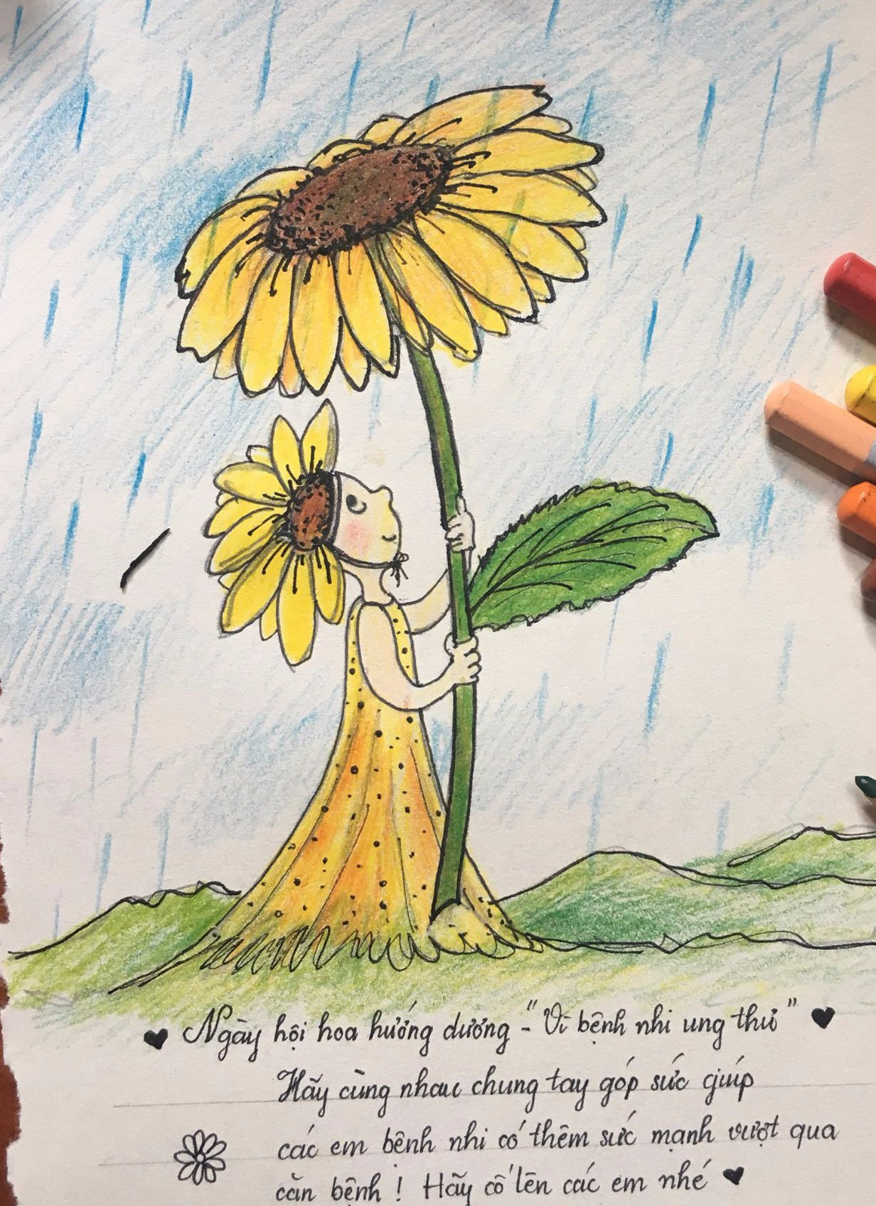 Hình vẽ hoa hướng dương bằng bút chì  Sunflower Pencil