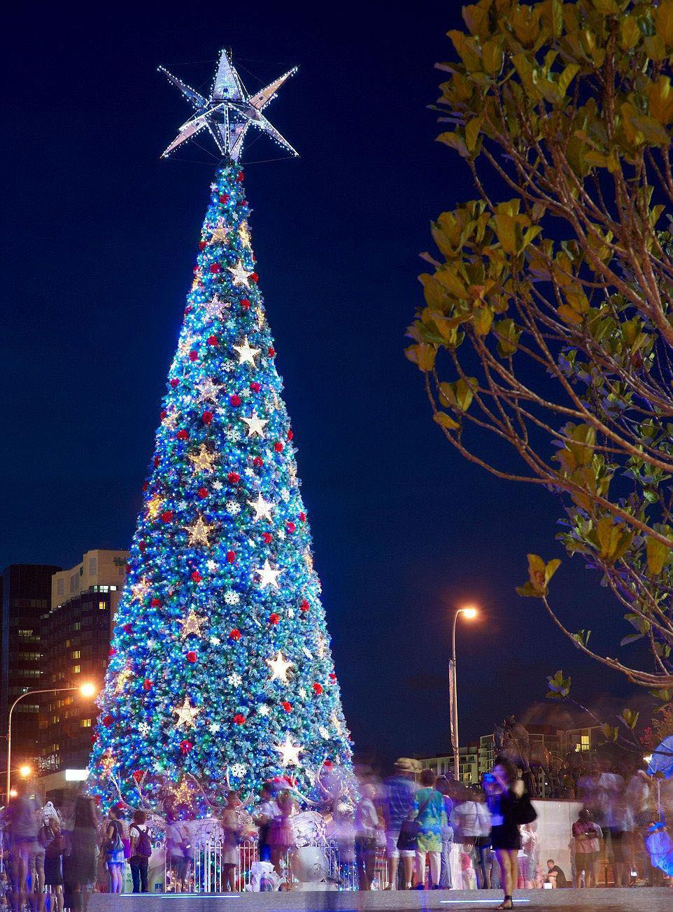 Hình ảnh cây thông Noel sinh động, ý nghĩa cho mùa Giáng Sinh