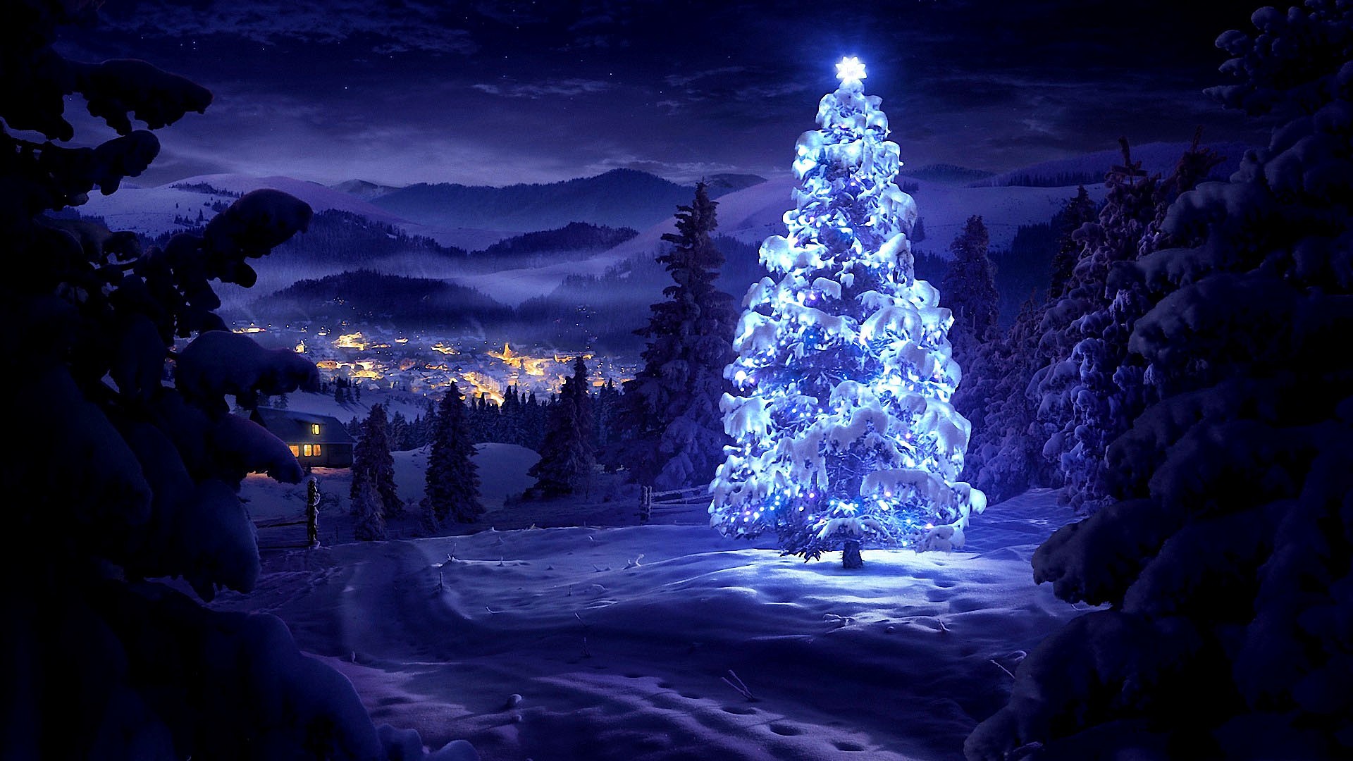 Hình ảnh cây thông Noel sinh động ý nghĩa cho mùa Giáng Sinh