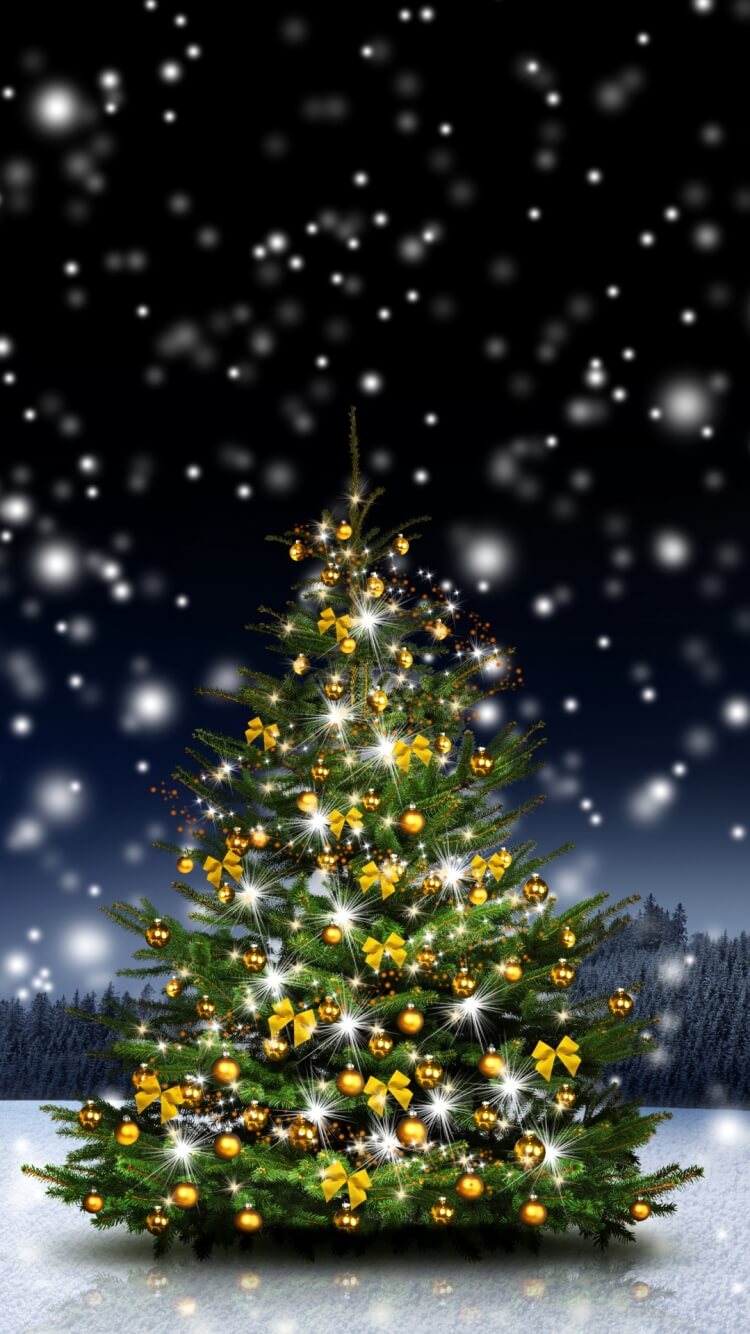 12 Hình Ảnh Cây Thông Noel Đẹp Nhộn Nhịp Mùa Giáng Sinh