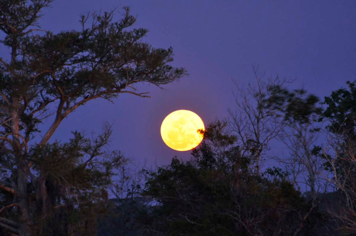 Hình ảnh trăng rằm đẹp nhất ảnh trăng máu siêu đẹp