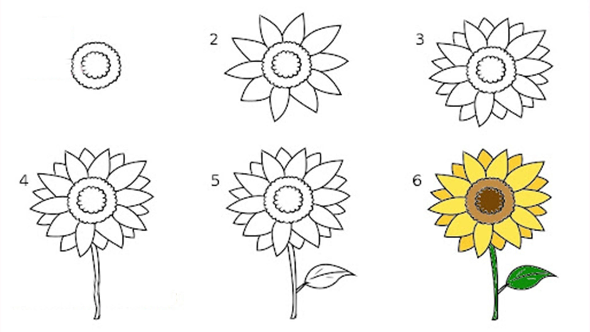 Chi tiết hơn 53 về hình ảnh vẽ hoa mới nhất  cdgdbentreeduvn