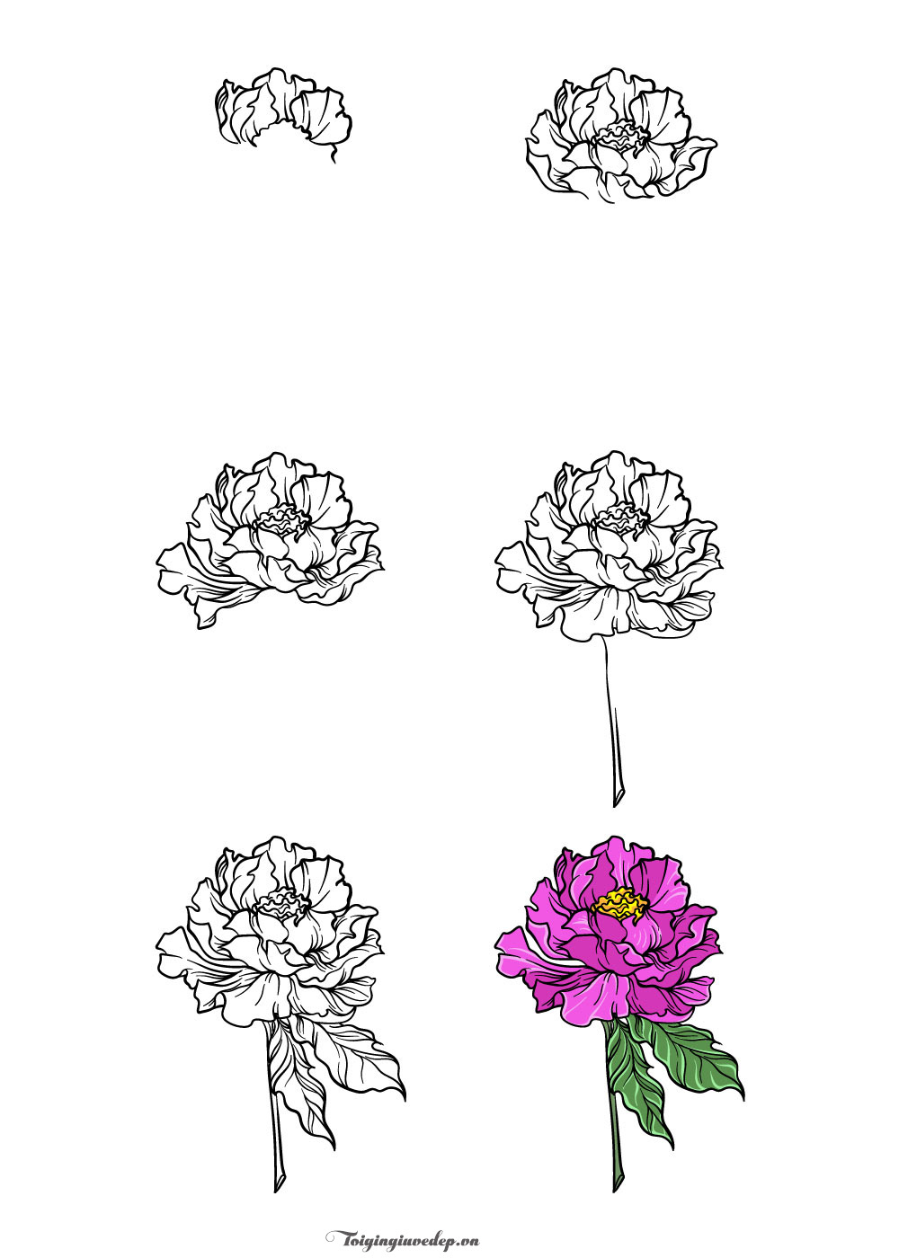 101+ Cách Vẽ Bông Hoa Đơn Giản, Hình Vẽ Bông Hoa Đẹp