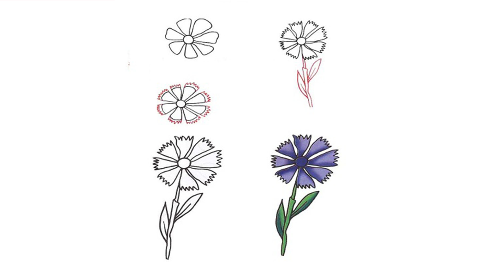 199 Cách Vẽ Bông Hoa Đơn Giản Hình Vẽ Bông Hoa Đẹp