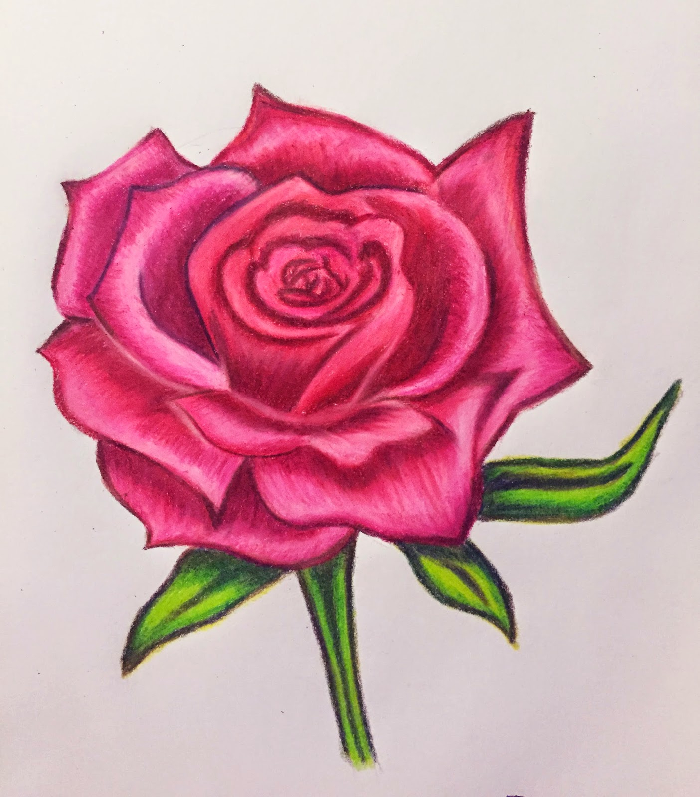 Hình ảnh hoa hồng vẽ bằng bút chì tuyệt đẹp