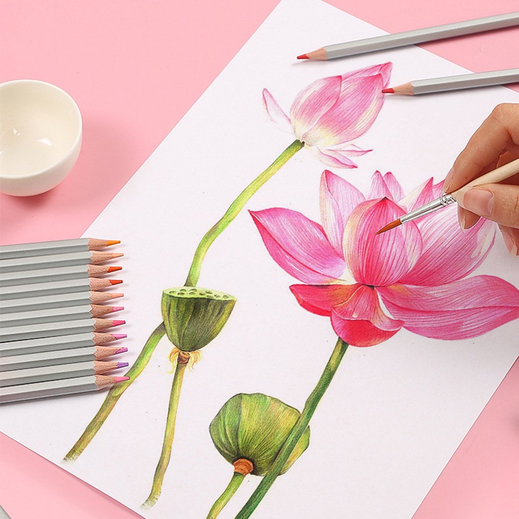 99 mẫu tranh hoa sen phong thủy đẹp nhất thế giới 2020  Tranh Sơn Dầu  Phương Nguyên