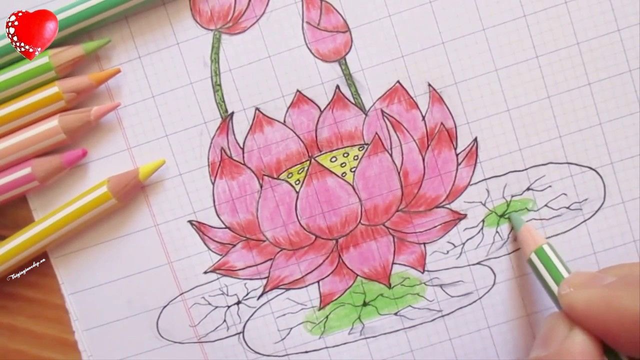 Tuyển tập tranh tô màu hoa sen đẹp và đơn giản dành cho các bé