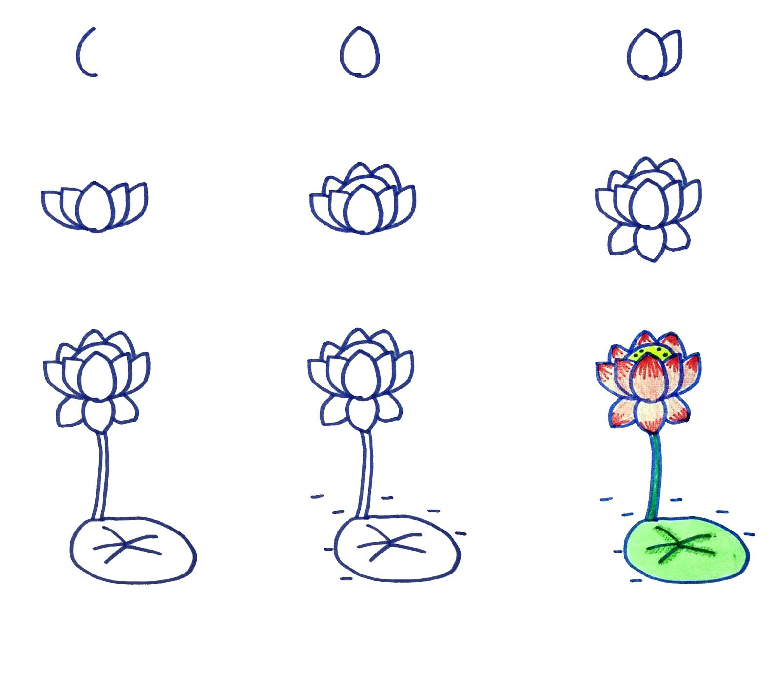 Cách vẽ bông hoa sen đơn giản hiệu quả